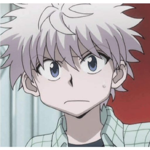 ✿♡KILLUA♡✿ 14