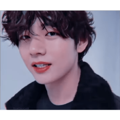 BTS 12 19