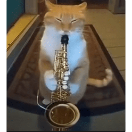 Memes random 7