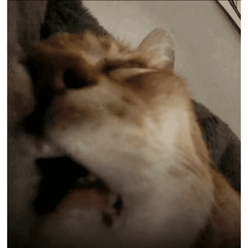 Memes random 25