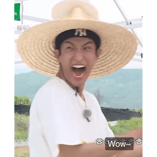 Minghoe 13