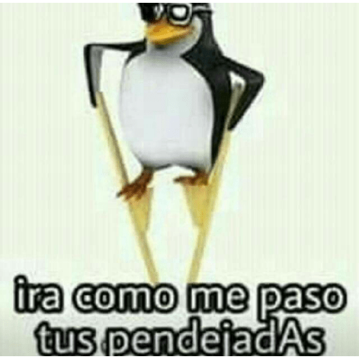 Pingüinos groseroa 2