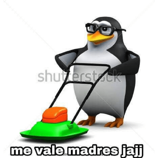 Pingüinos groseroa 7
