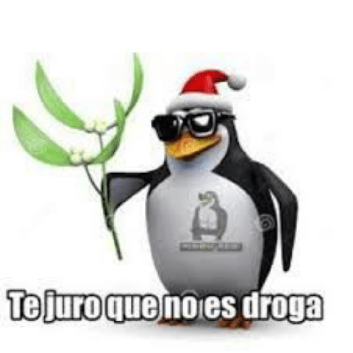 Pingüinos groseroa 5
