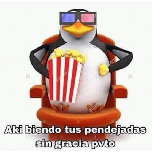 Pingüinos groseroa 4