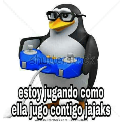 Pingüinos groseroa 6