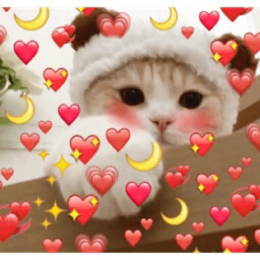 Gatinhos 27