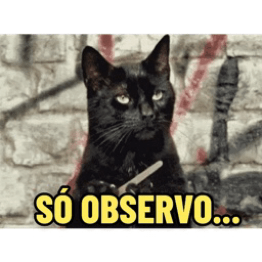 Gatinhos 8