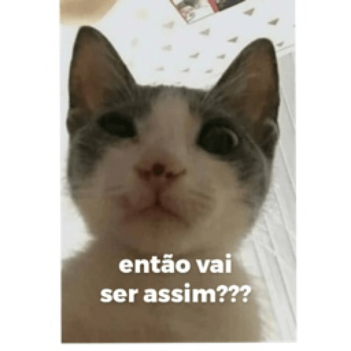 Gatinhos 4