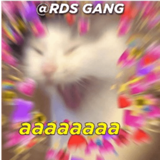 Gatinhos 22
