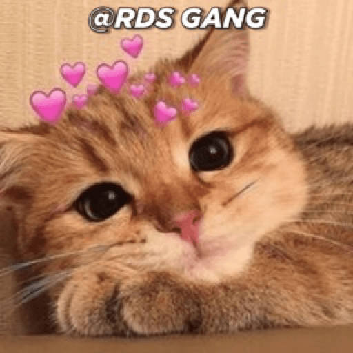 Gatinhos 21