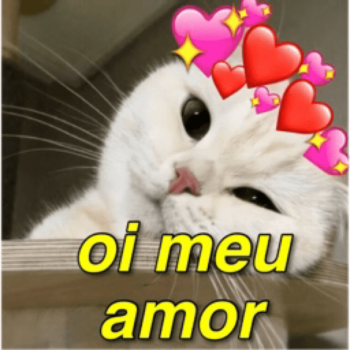 Gatinhos 18