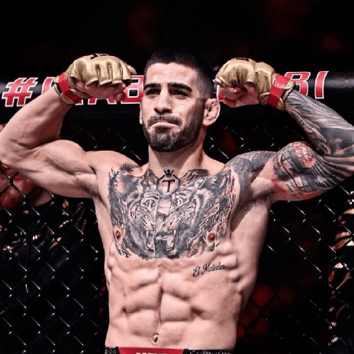 UFC 19