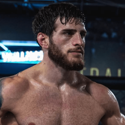 UFC 8