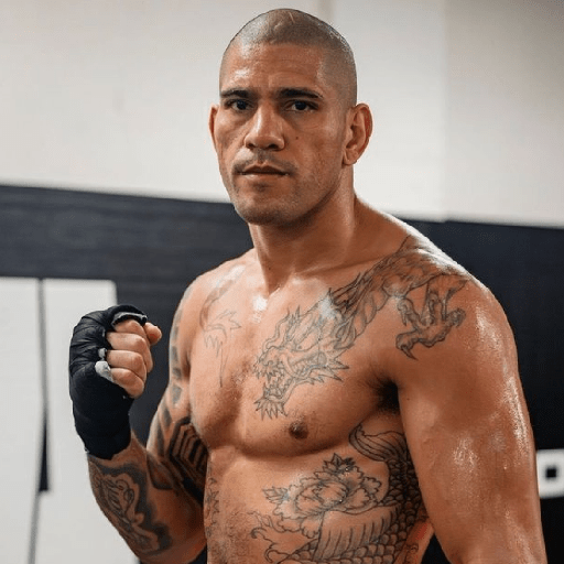 UFC 9