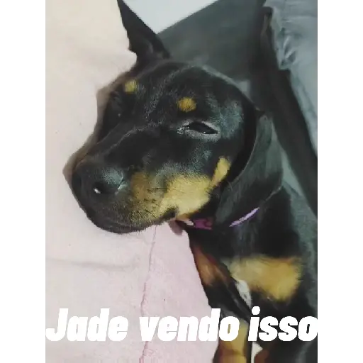 Jade 