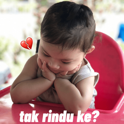 Anggun's meme 12