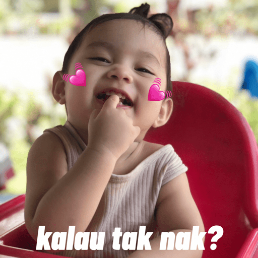 Anggun's meme 18