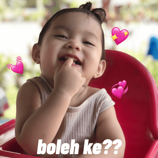 Anggun's meme 15