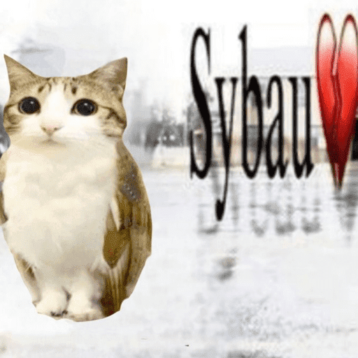 Sybau 💔 5