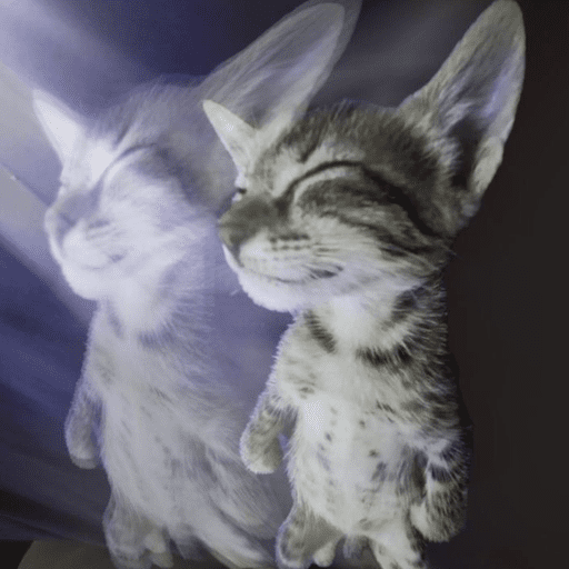 Sybau 💔 2
