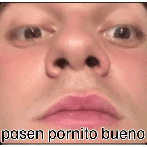 Ola 13