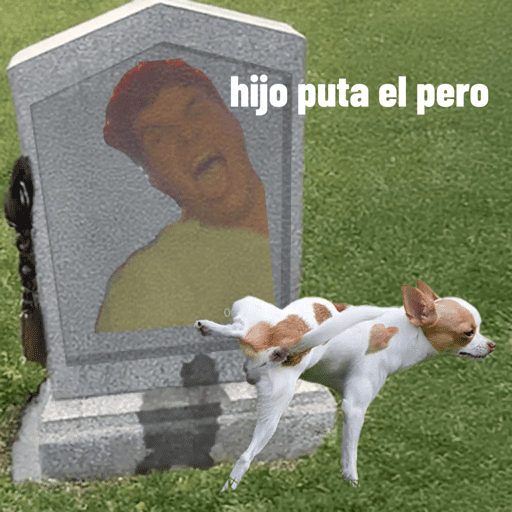 Ola 5