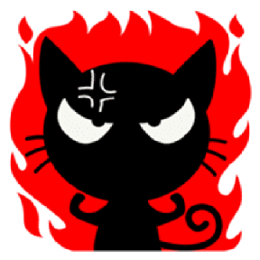 Black cat 16