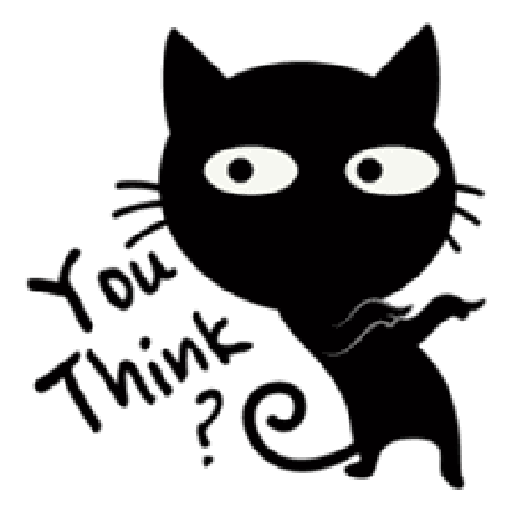 Black cat 28