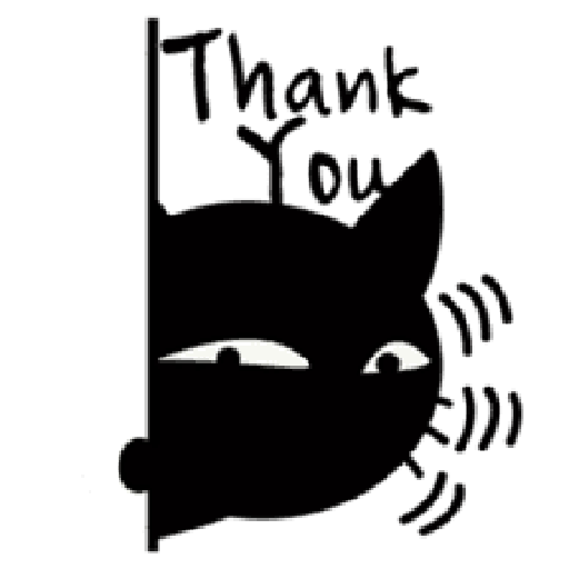 Black cat 18