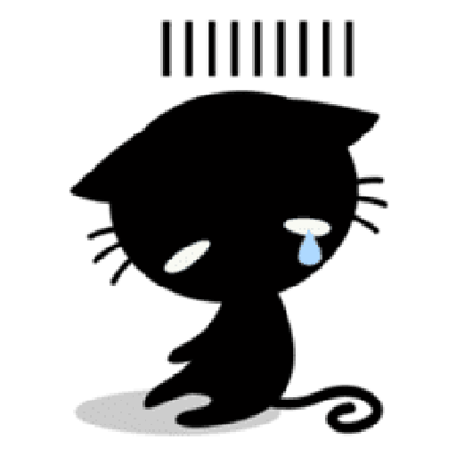 Black cat 5