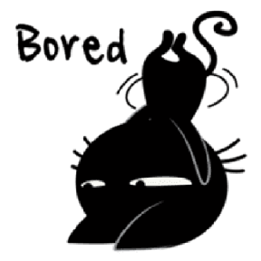 Black cat 27