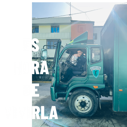 Elvago 18