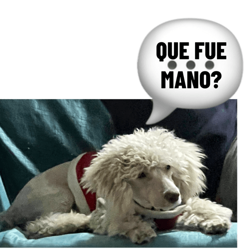 Elvago 9