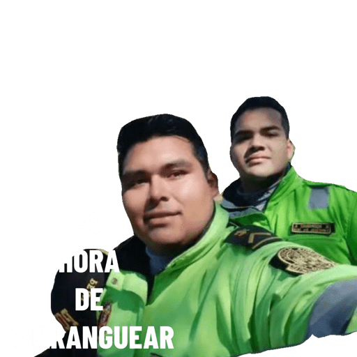 Elvago 19