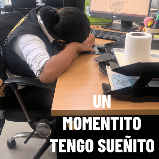 Elvago 17