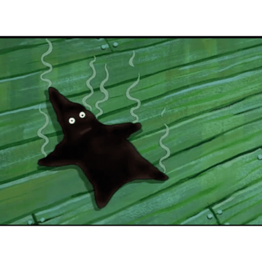 Sponge bob?