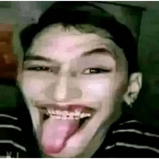 Kucing gue 15