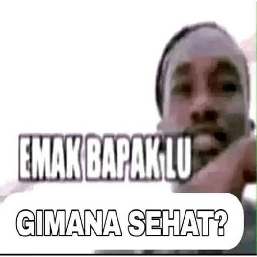 Kucing gue 23