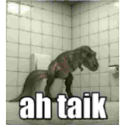 Kucing gue 3