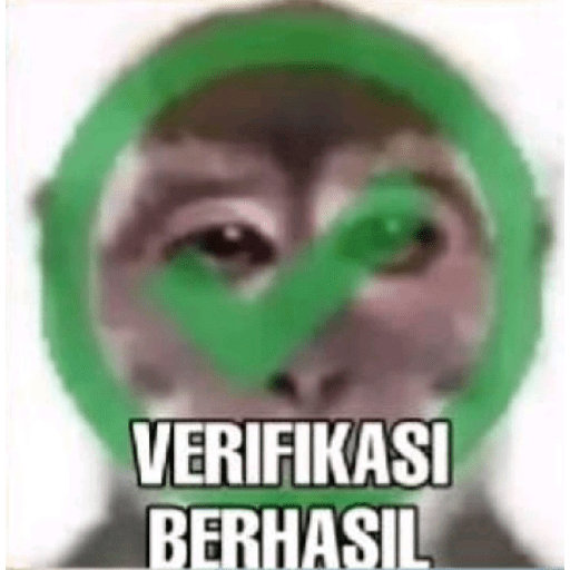 Kucing gue 24