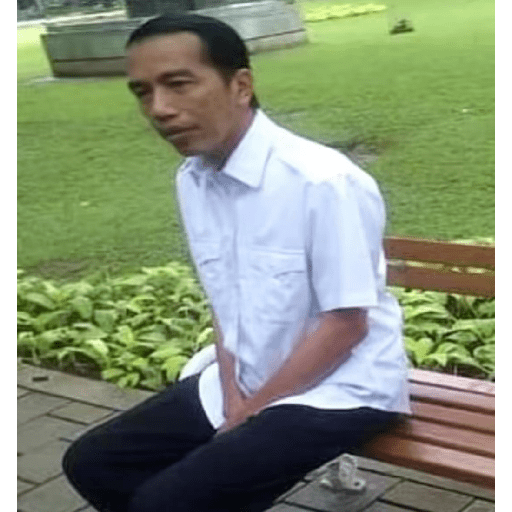 Kucing gue 6