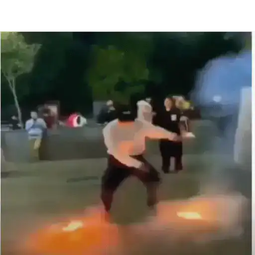 Animados 19