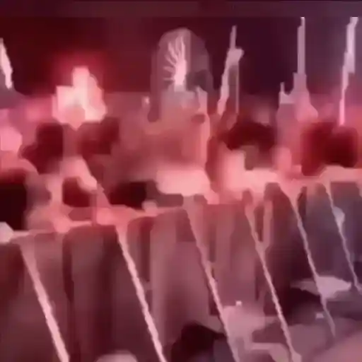 Animados 20