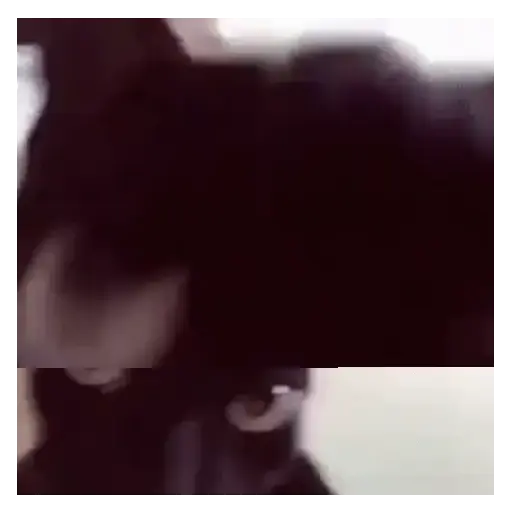 Animados 4
