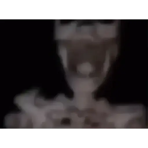 Animados 5