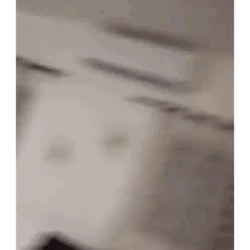 Ale 7