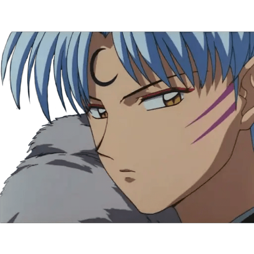 Inuyasha 3