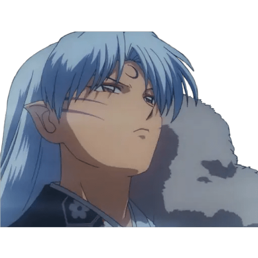 Inuyasha 6