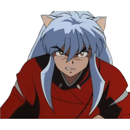 Inuyasha 10